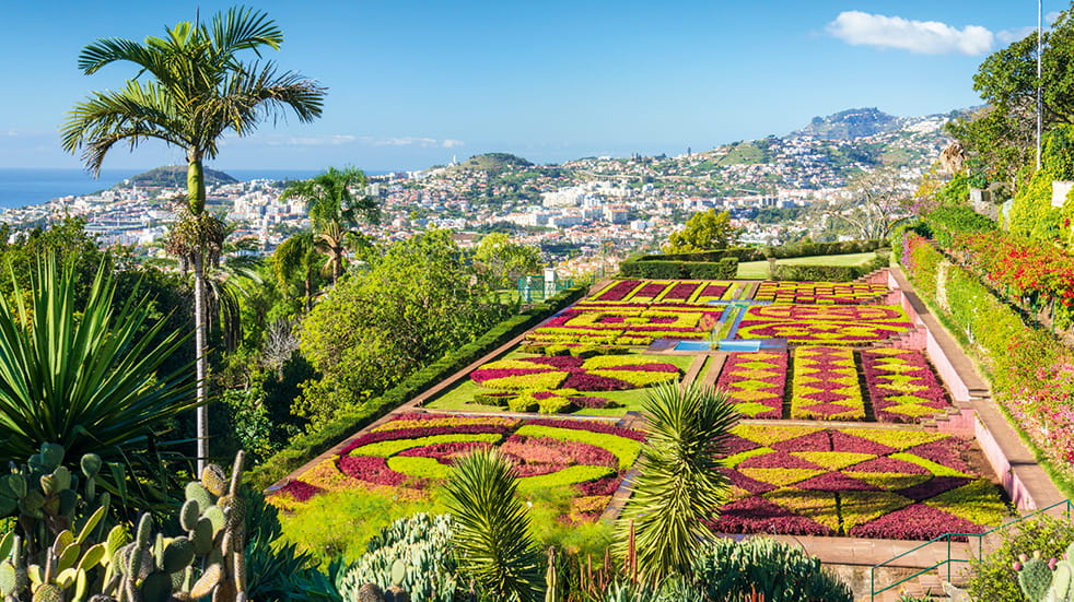 Madeira holiday guide: botanical gardens